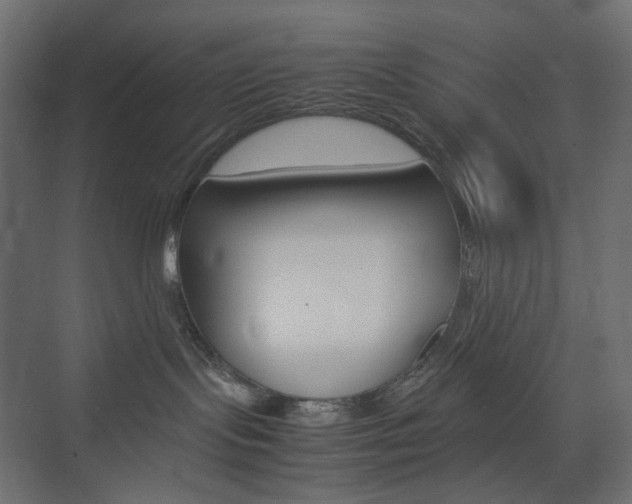 X0000074230095200608250827