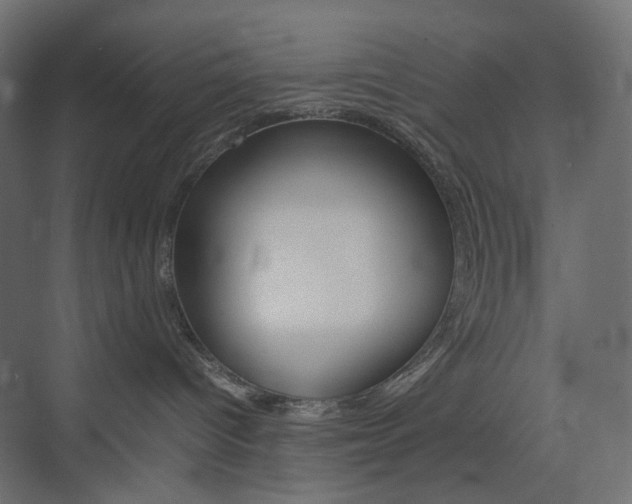 X0000074230096200608250827