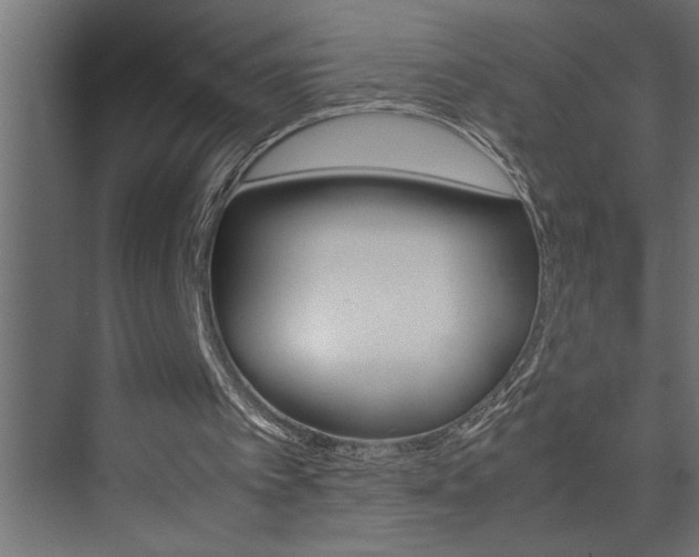 X0000074230097200608250827