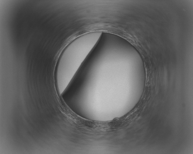 X0000074230099200608250827