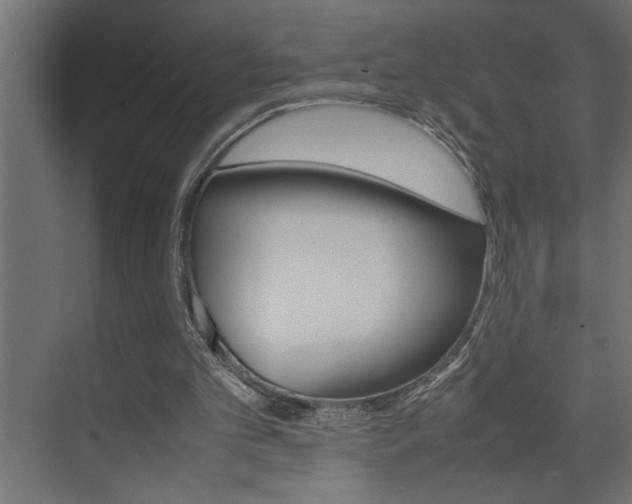 X0000074230101200608250826