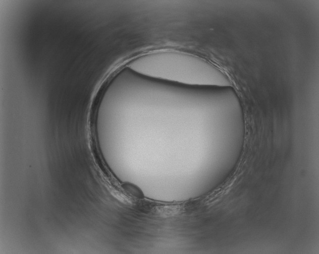 X0000074230102200608250826