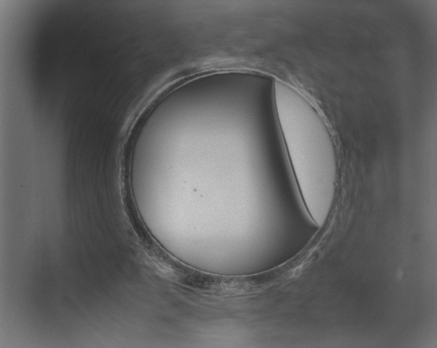 X0000074230103200608250826
