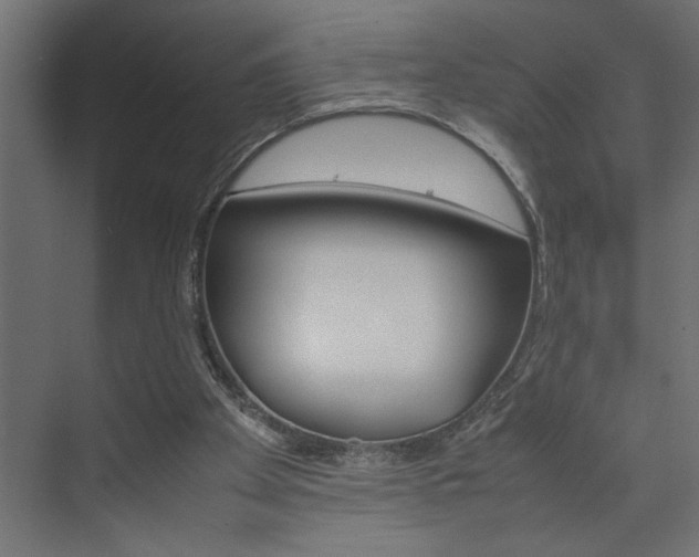 X0000074230105200608250826