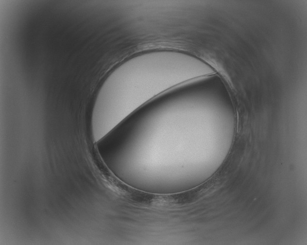 X0000074230109200608250826