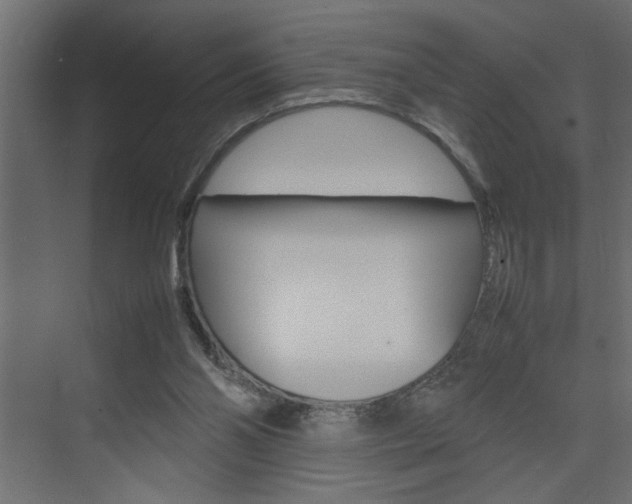 X0000074230110200608250826