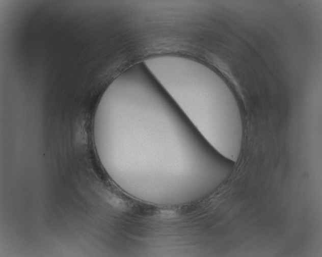 X0000074230114200608250826