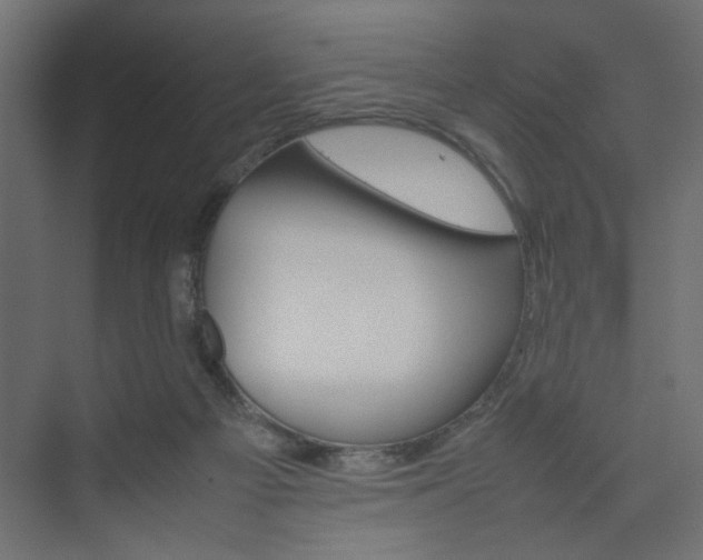 X0000074230121200608250826