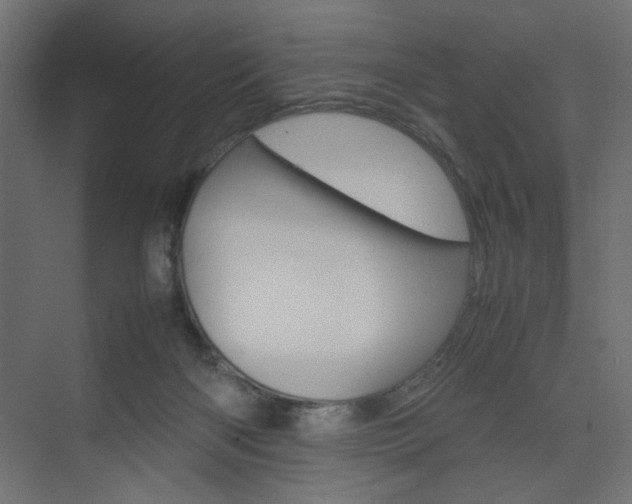 X0000074230122200608250826