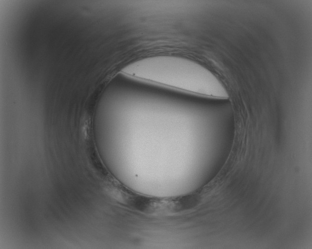 X0000074230125200608250826