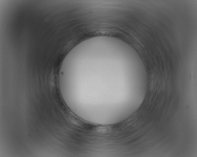 X0000074230126200608250826