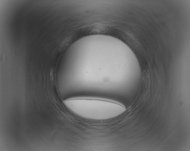 X0000074230127200608250826