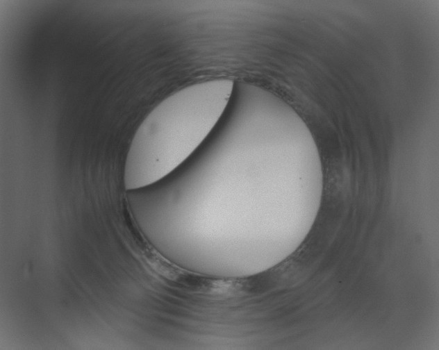 X0000074230130200608250826