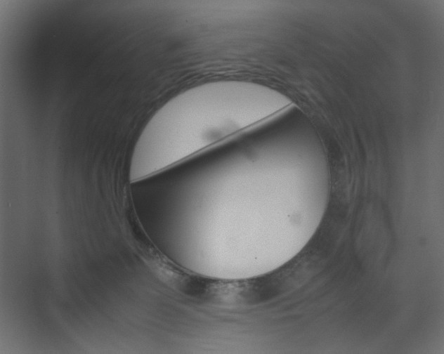 X0000074230131200608250826