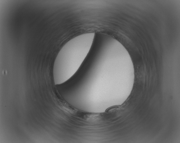 X0000074230132200608250826