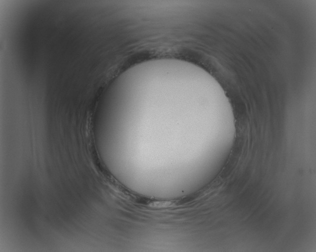 X0000074230133200608250826