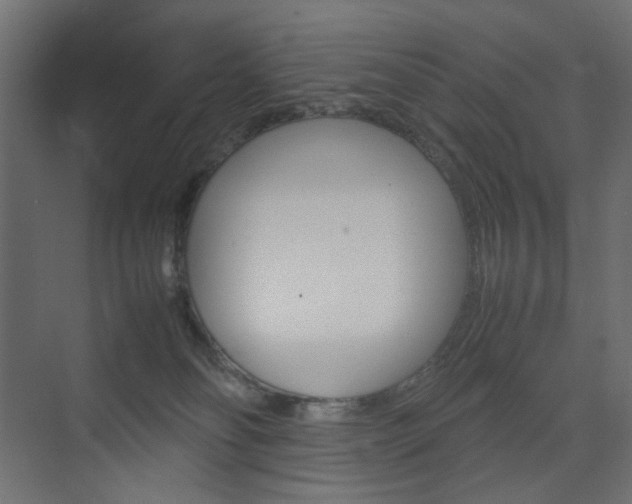 X0000074230134200608250826