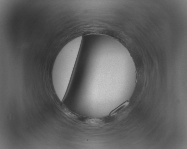 X0000074230137200608250826