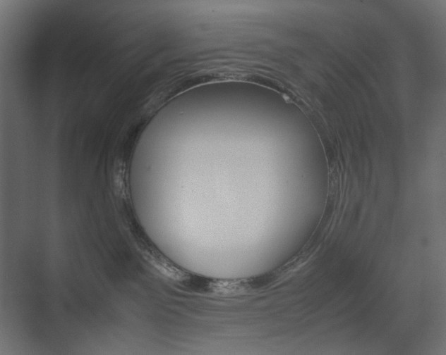 X0000074230141200608250826