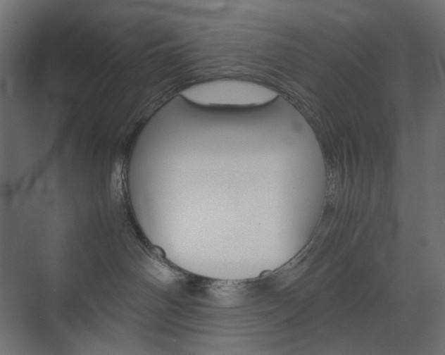 X0000074230142200608250826