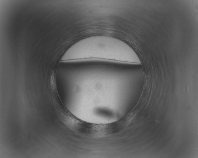 X0000074230143200608250826