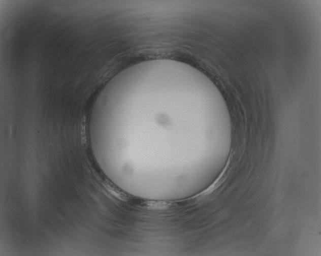 X0000074230144200608250826