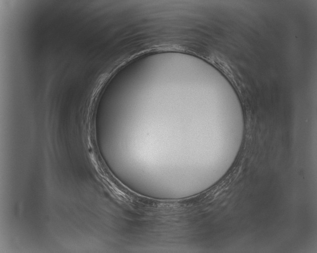 X0000074230145200608250825