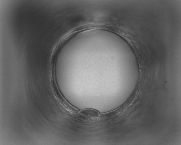 X0000074230149200608250825