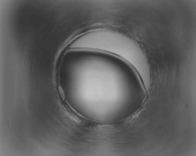 X0000074230150200608250825