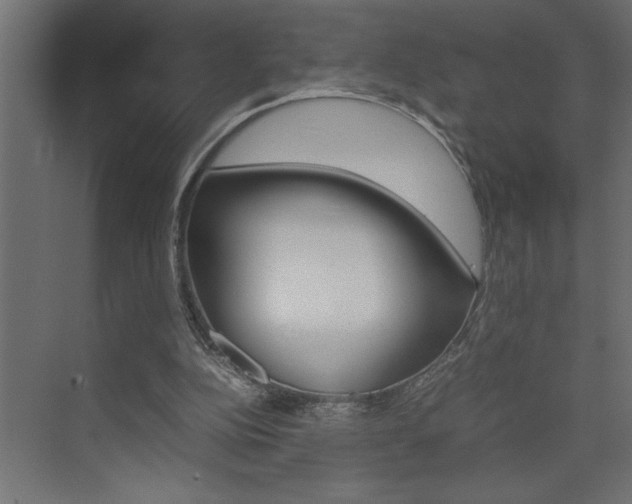 X0000074230152200608250825