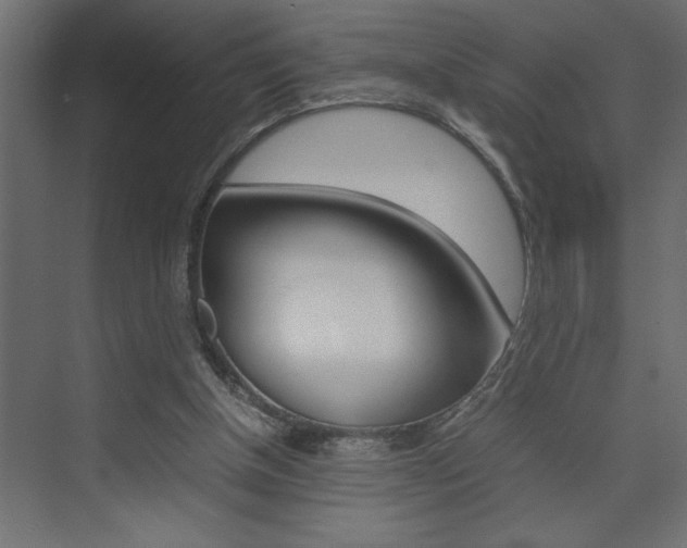 X0000074230154200608250825