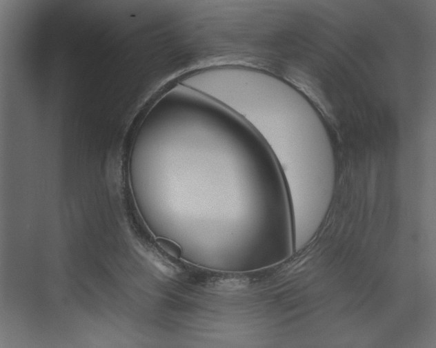 X0000074230156200608250825
