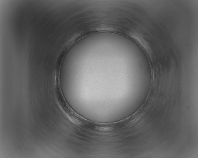 X0000074230157200608250825