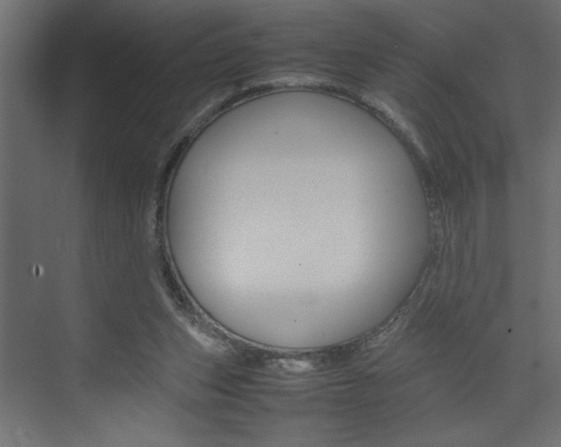 X0000074230159200608250825