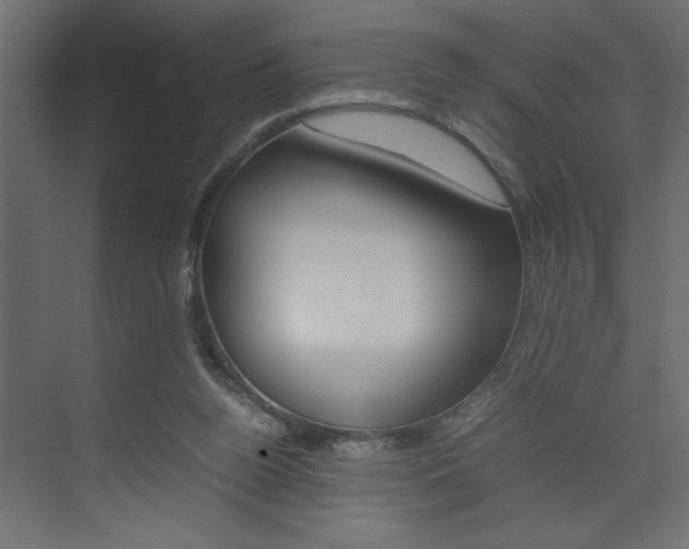 X0000074230160200608250825