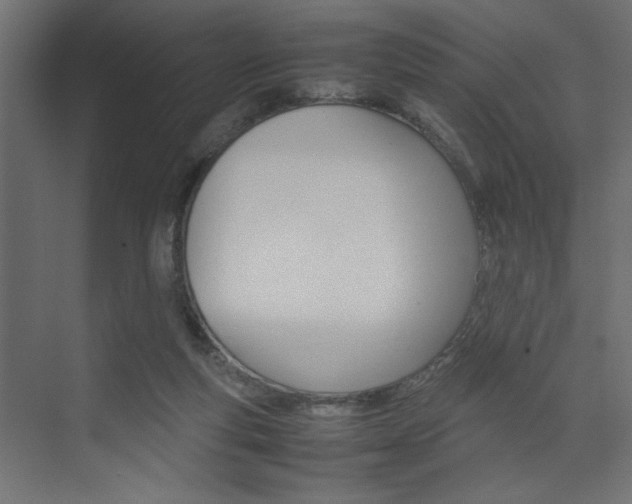 X0000074230163200608250825