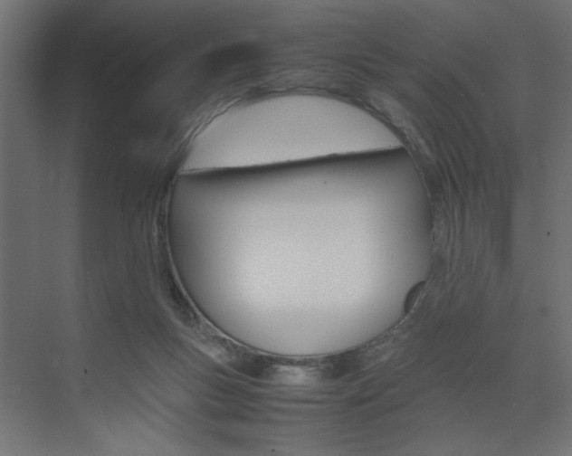 X0000074230167200608250825