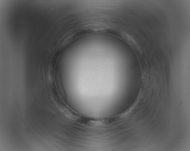 X0000074230170200608250825