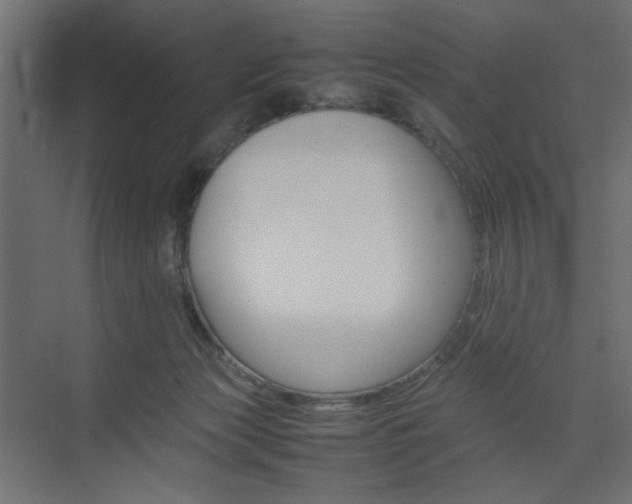 X0000074230173200608250825