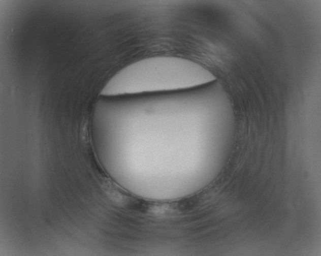 X0000074230177200608250826