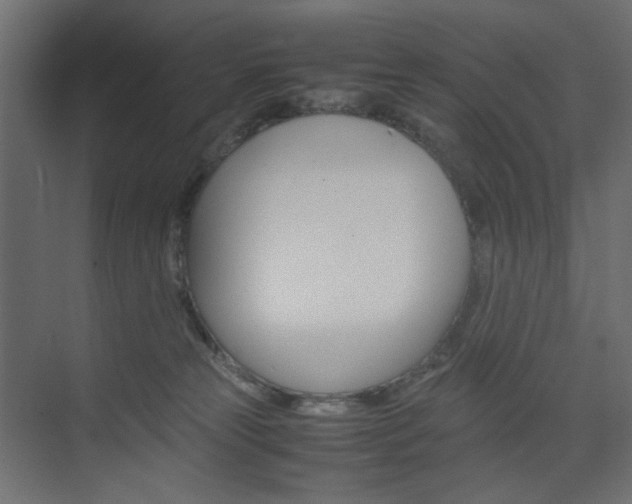 X0000074230181200608250826