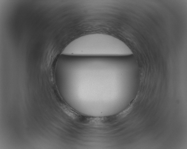 X0000074230182200608250826