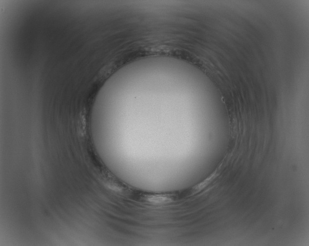 X0000074230183200608250826