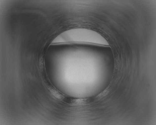X0000074230184200608250826
