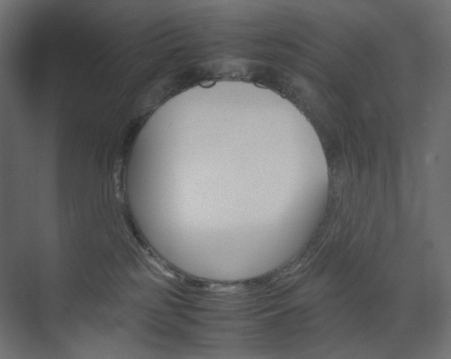 X0000074230185200608250826