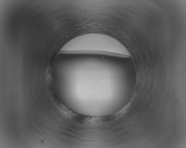 X0000074230186200608250826