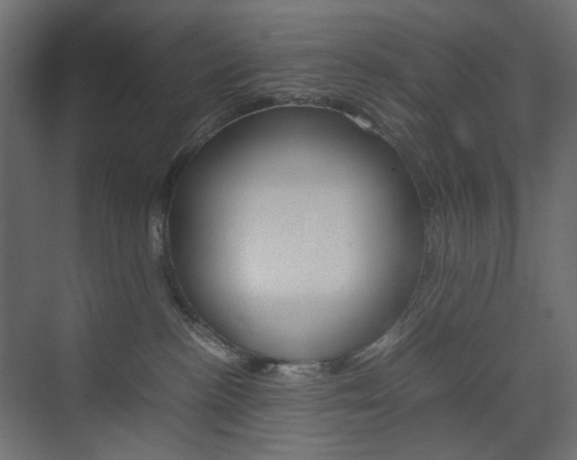 X0000074230188200608250826
