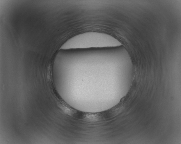 X0000074230189200608250826