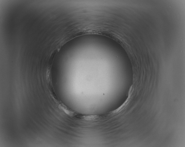 X0000074230192200608250826
