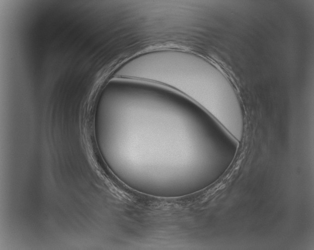 X0000074230193200608250825